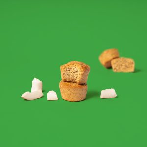 Coconut Oat Bites