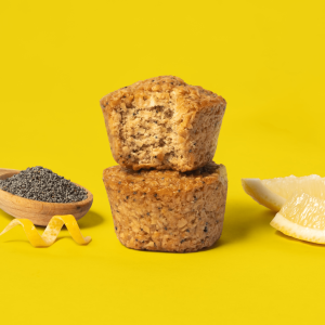 Tropical Oat Bites Variety Pack