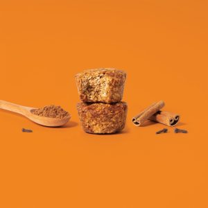 Pumpkin Spice Oat Bites