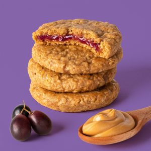 PB&J Oat Snack Variety Pack